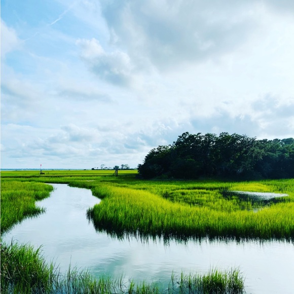 mine Other - Mine Green and Blue Marshland Photography